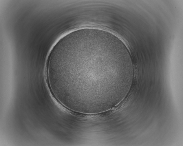 X0000112381531200908131519