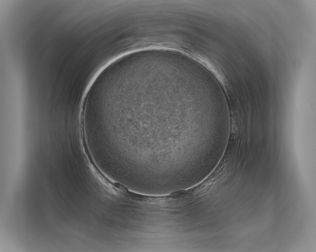 X0000112381532200908131519