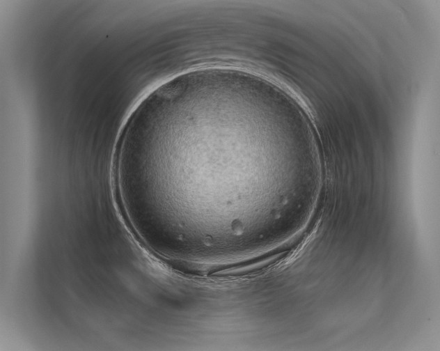 X0000112381533200908131519