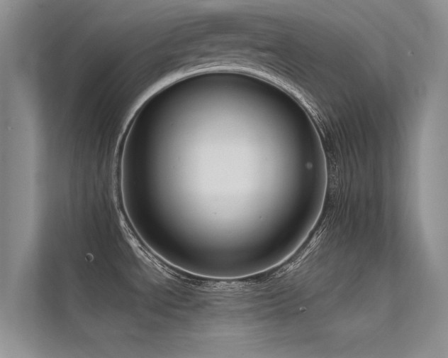 X0000112381534200908131519