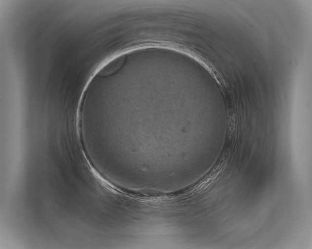 X0000112381535200908131519