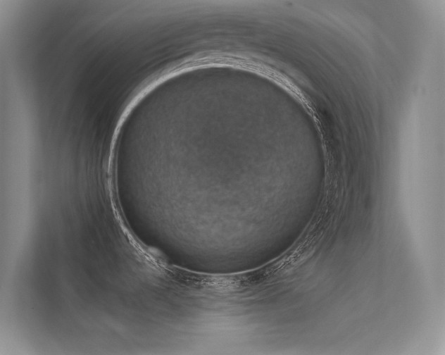 X0000112381536200908131519