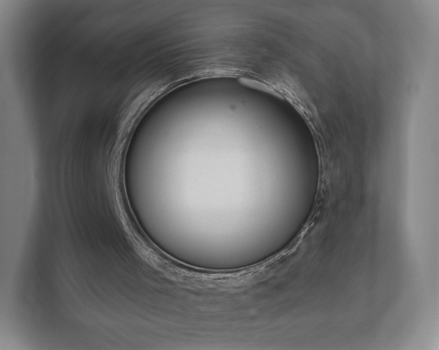 X0000112380001200908201531