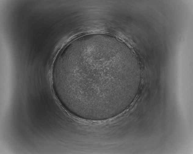 X0000112380002200908201531