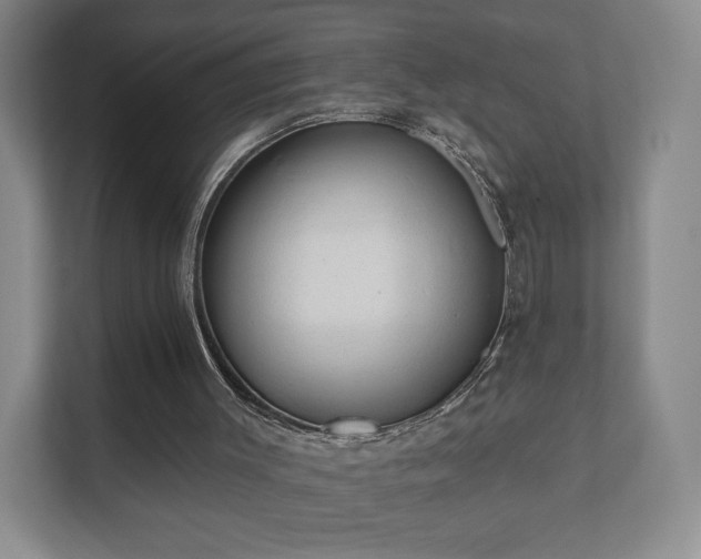 X0000112380003200908201531