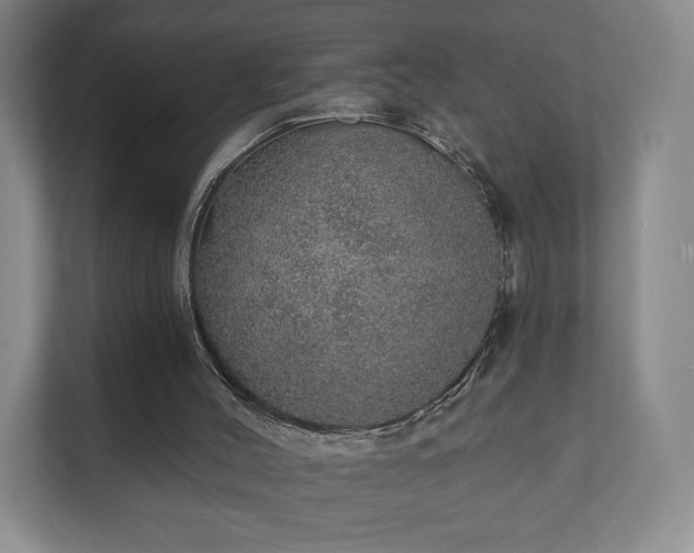 X0000112380004200908201531