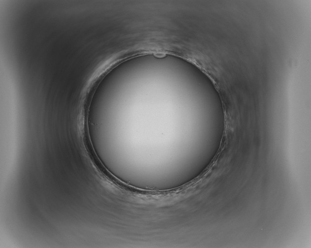 X0000112380005200908201531