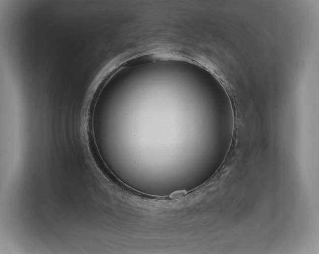 X0000112380007200908201531