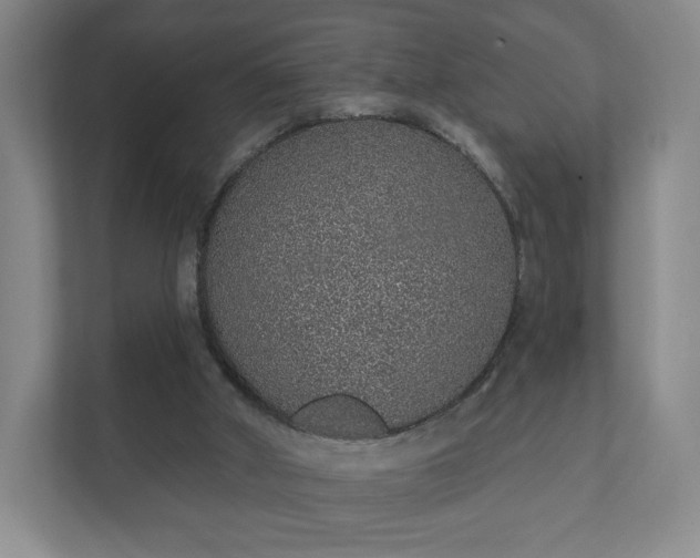 X0000112380010200908201531