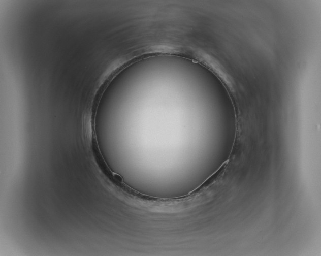 X0000112380011200908201531