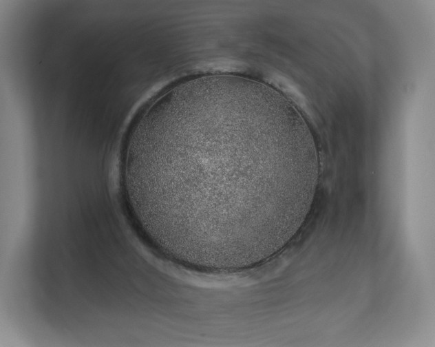 X0000112380012200908201531