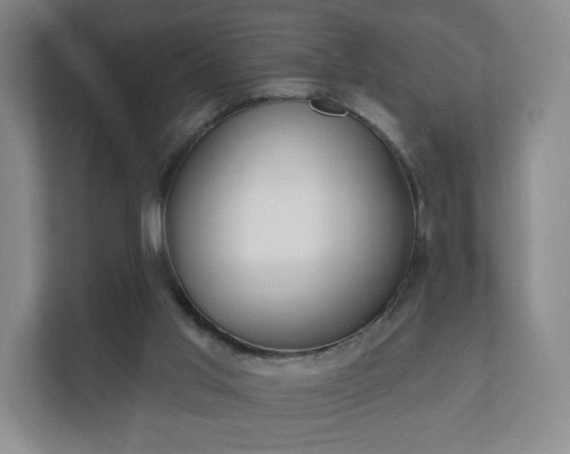 X0000112380013200908201531