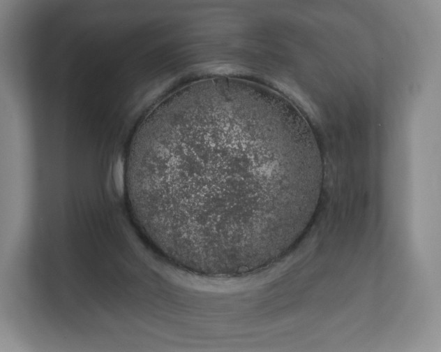 X0000112380014200908201531