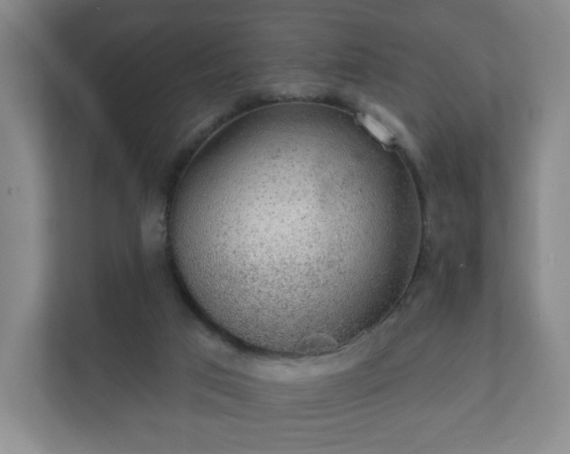 X0000112380017200908201531