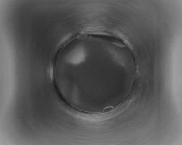 X0000112380019200908201531