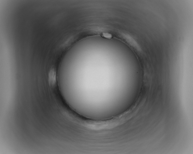 X0000112380021200908201531