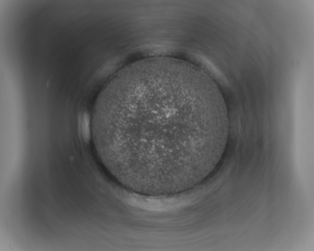 X0000112380022200908201531