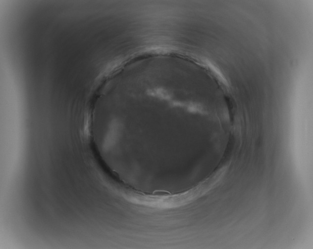 X0000112380023200908201531