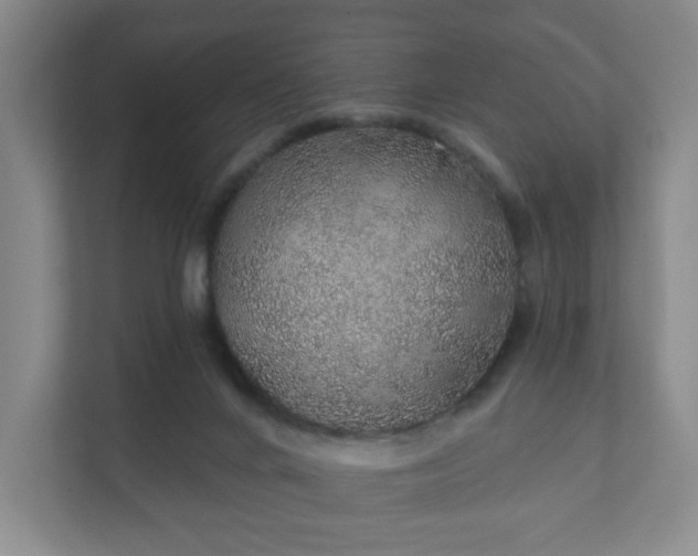 X0000112380024200908201531