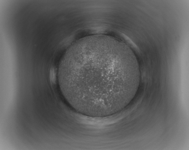 X0000112380026200908201531