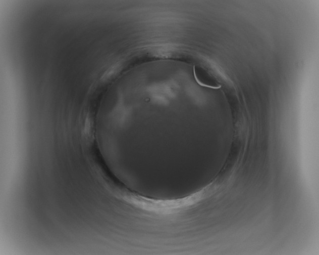 X0000112380031200908201531