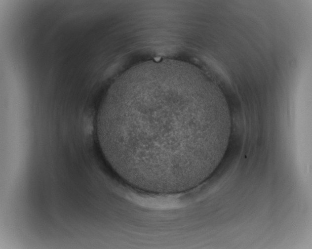 X0000112380032200908201531