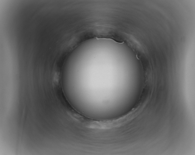 X0000112380033200908201531