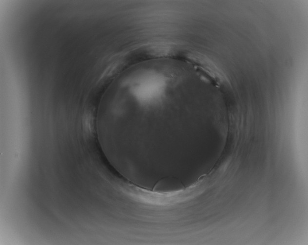 X0000112380035200908201531