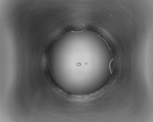 X0000112380037200908201531