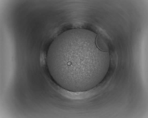 X0000112380038200908201531