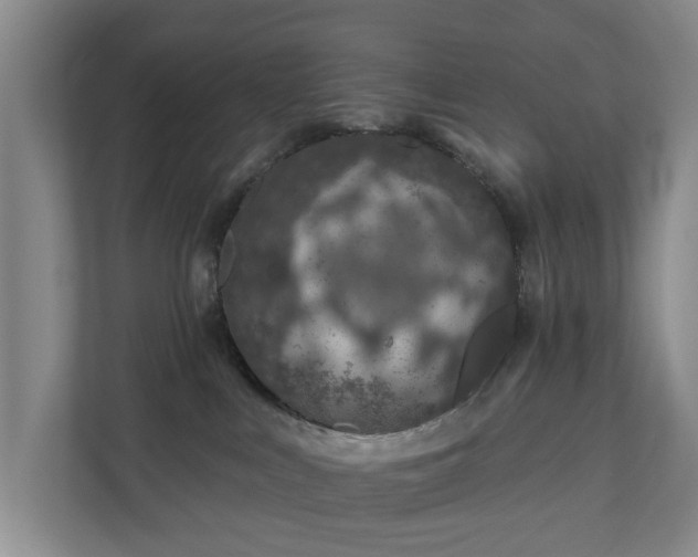 X0000112380043200908201531