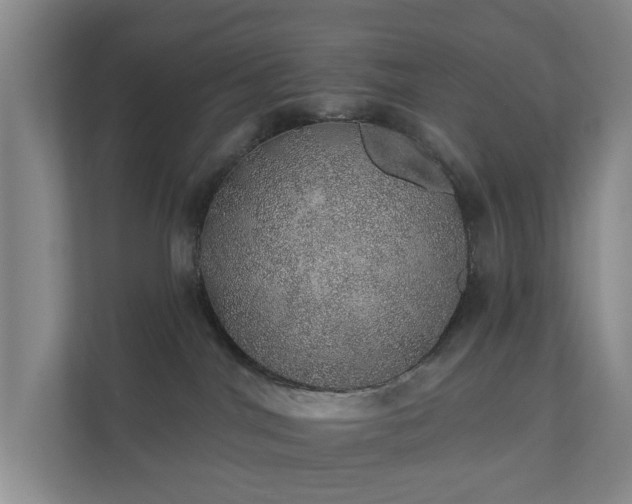 X0000112380044200908201531