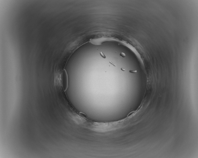 X0000112380045200908201531