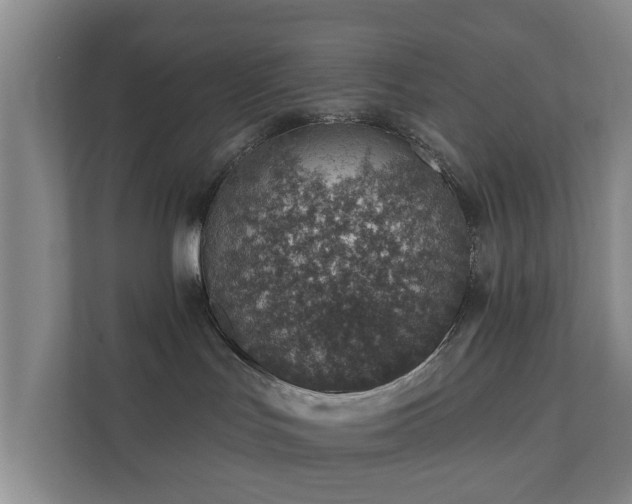 X0000112380047200908201531