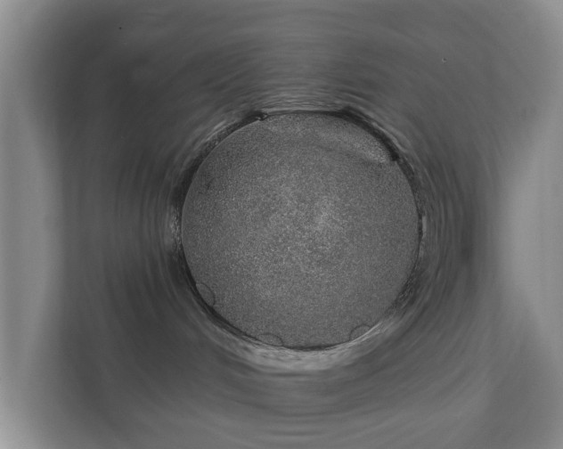 X0000112380048200908201531