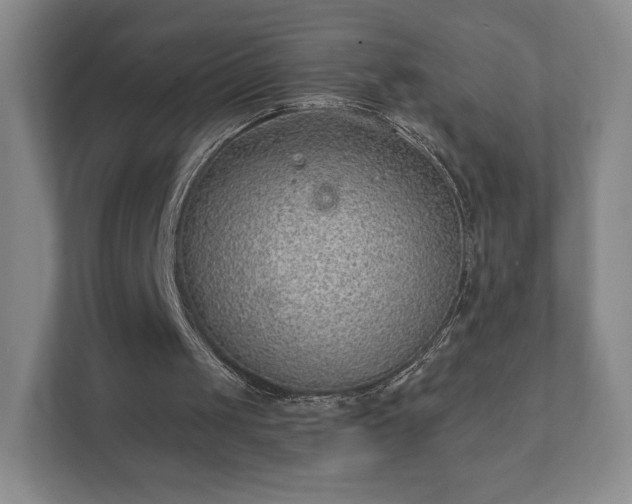 X0000112380049200908201530