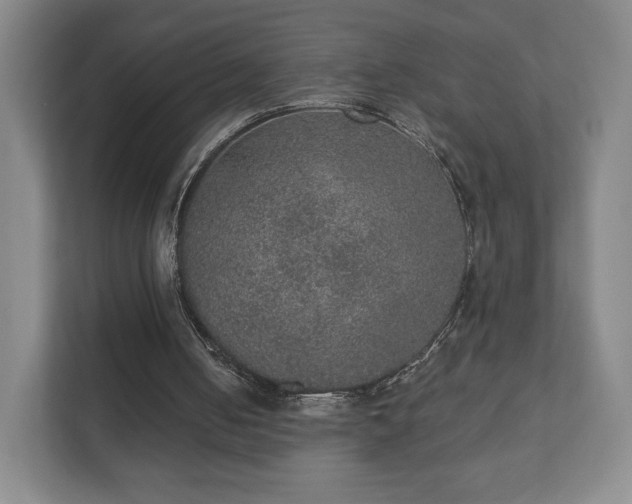 X0000112380050200908201530