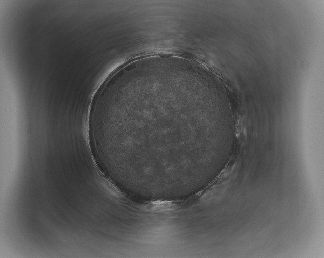 X0000112380052200908201530