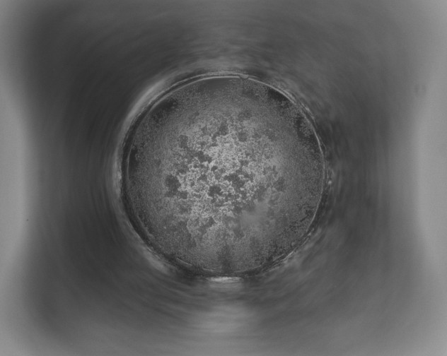 X0000112380053200908201530