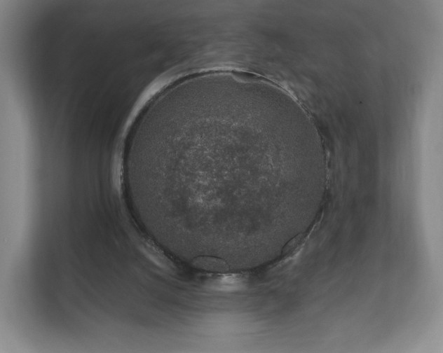 X0000112380056200908201530