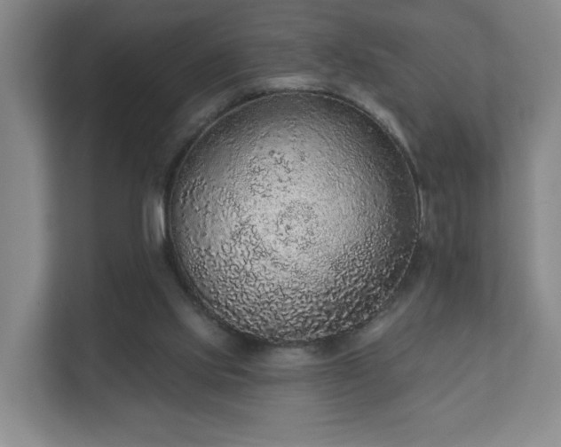 X0000112380061200908201530