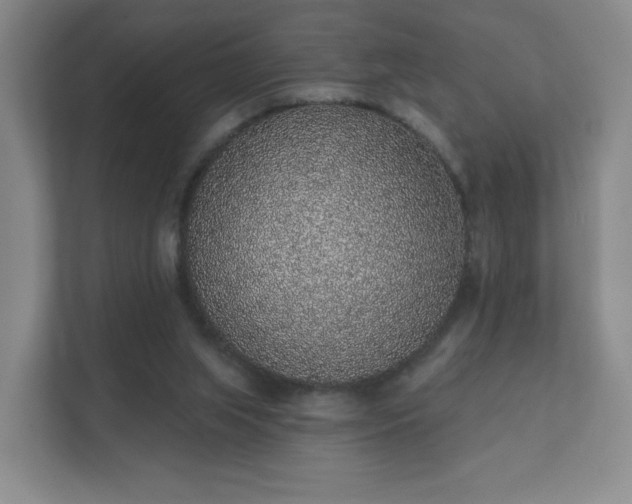 X0000112380063200908201530