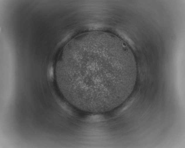 X0000112380067200908201530