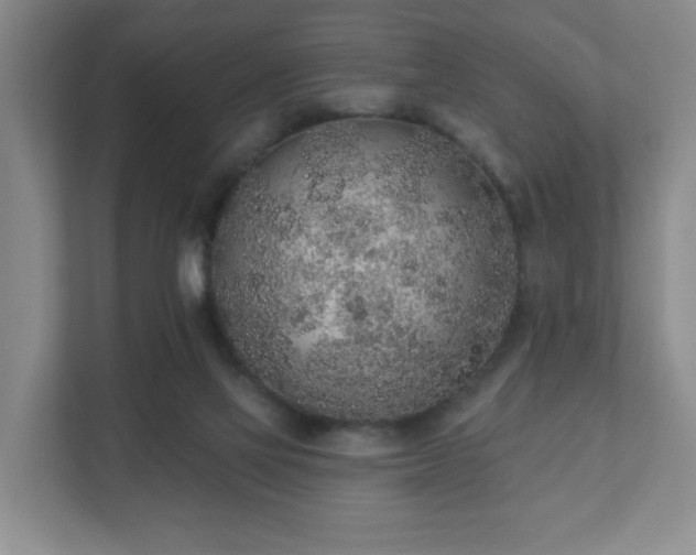 X0000112380069200908201530