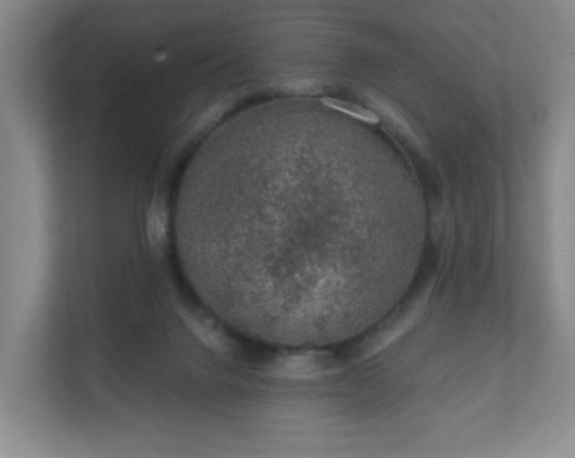 X0000112380072200908201530