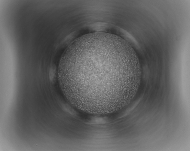 X0000112380073200908201530