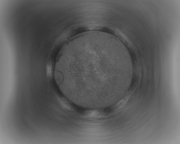 X0000112380074200908201530