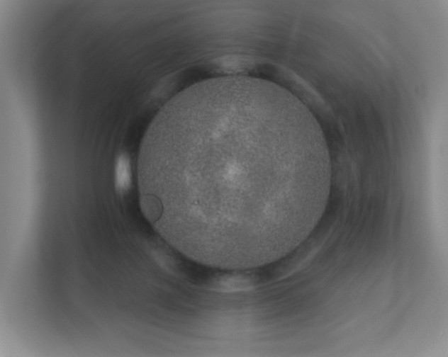 X0000112380075200908201530