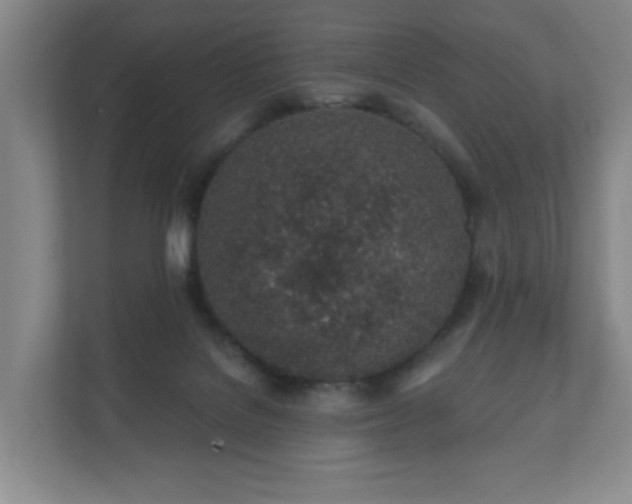 X0000112380076200908201530