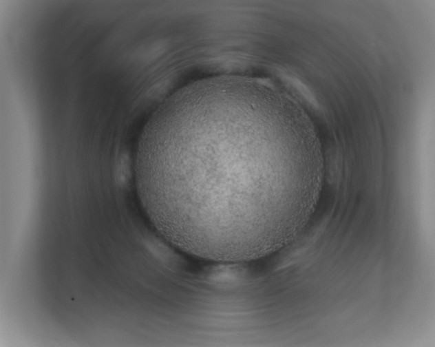 X0000112380077200908201530